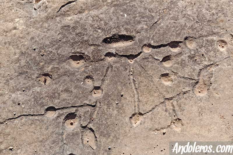 Cazoletas prehistóricas del Monte Arabí de Yecla